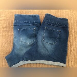 Bundle of Two Time and Tru Pull-On Denim Shorts, XL